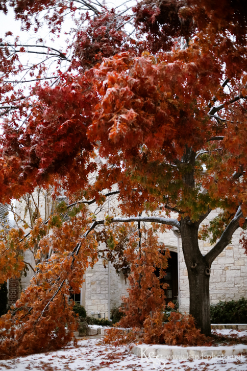 Dallas Wedding Photographers - K & S Photography